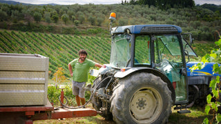 Carus Vini