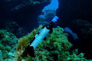 Vinamaris Tinto 2016